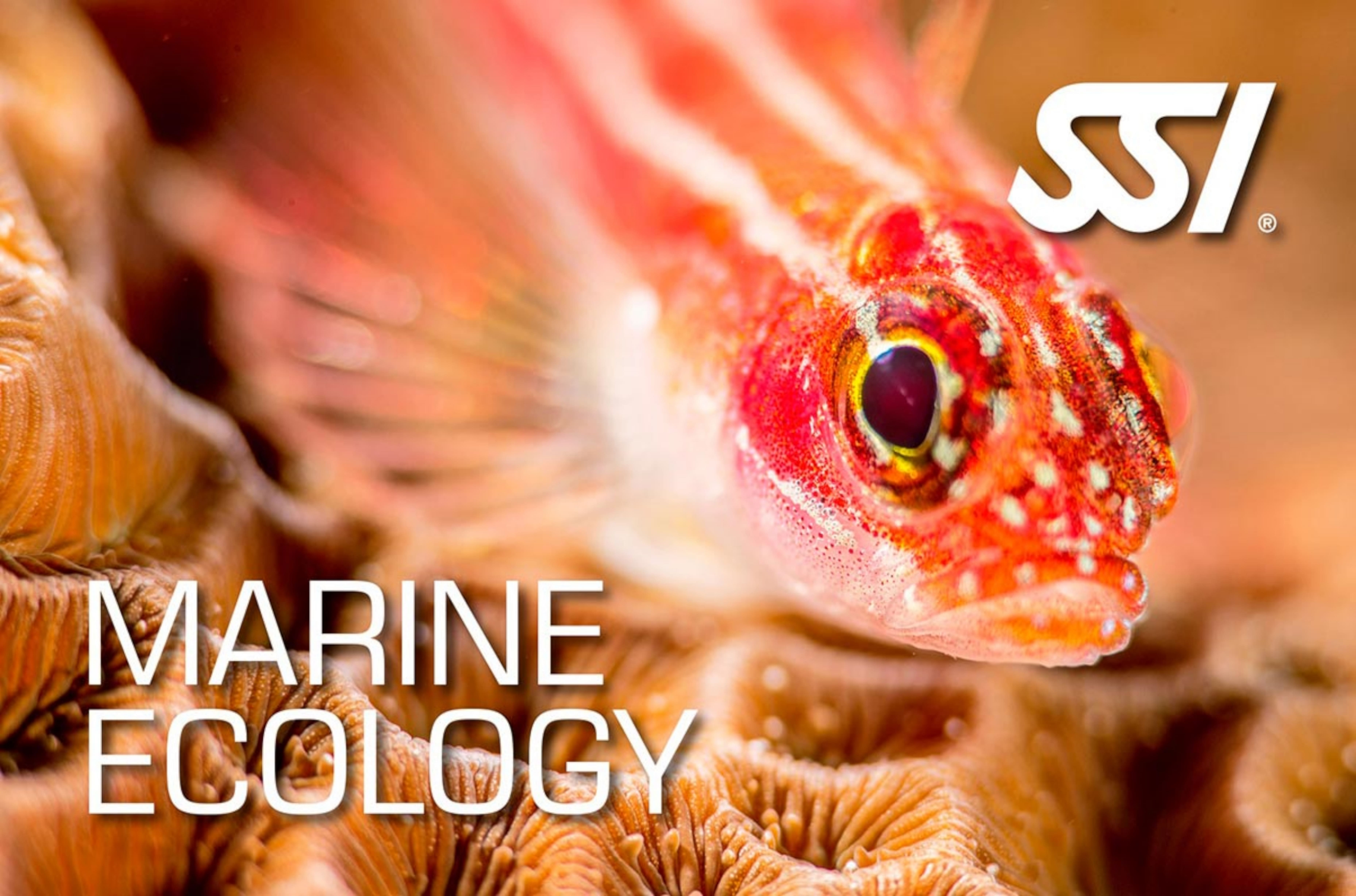 Marine Ecology